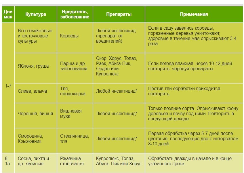 Народные средства от вредителей капусты
