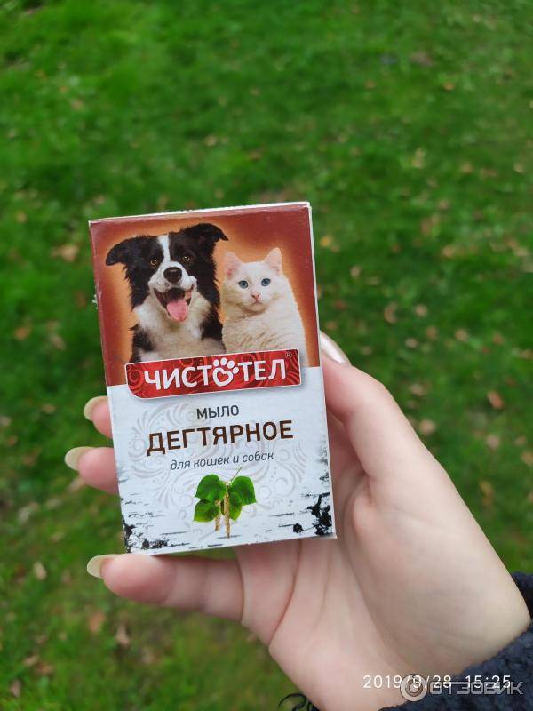 Дегтярное мыло для выведения блох у кошки