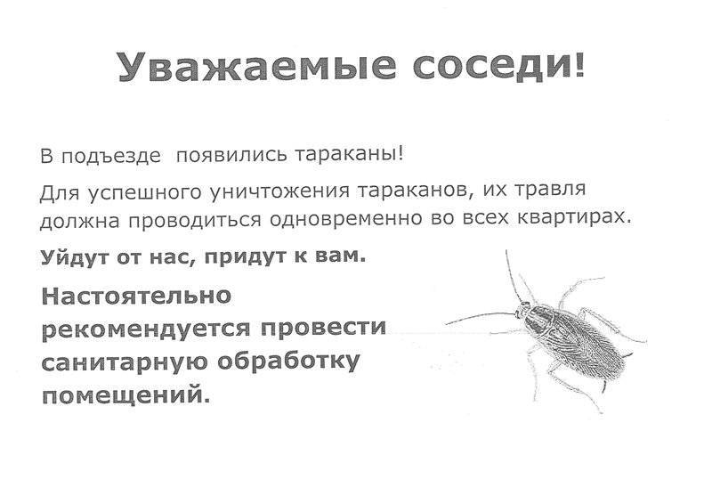 Тараканы от соседей: что делать, практические советы | дезинфекция, дезинсекция, дератизация - информационный портал