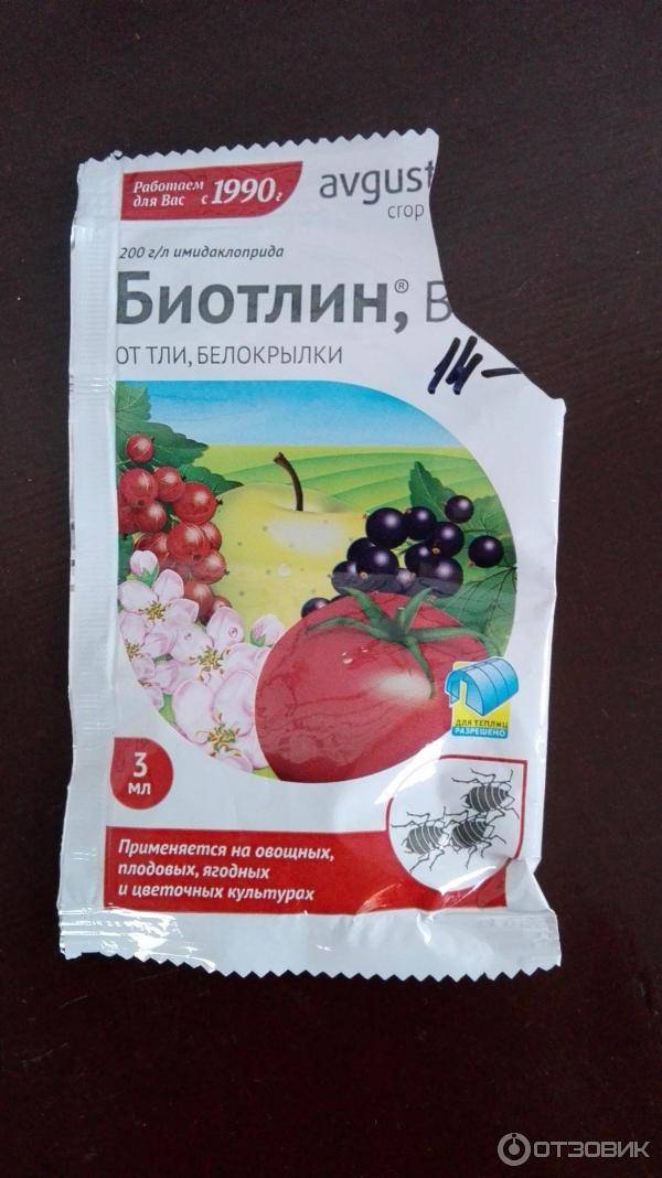 Помогите спасти комнатные цветы от белокрылки / асиенда.ру