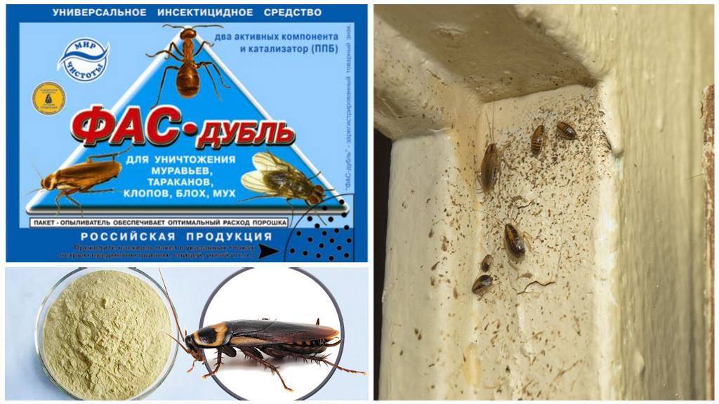 Фас-порошок от тараканов – доступное средство в двух вариантах