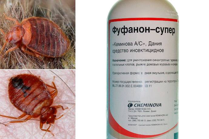 Фуфанон: популярный универсальный инсектицид и акарицид