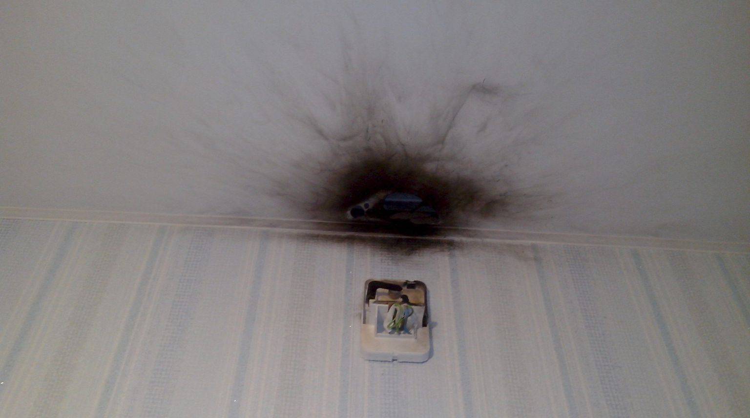 Может ли мышь прогрызть натяжной потолок и как это предотвратить