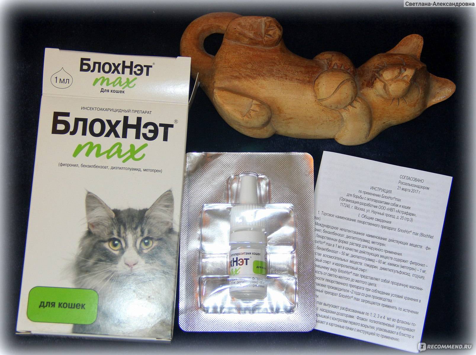 Лечим питомцев «блохнэтом» для кошек: преимущества, показания к применению и меры предосторожности