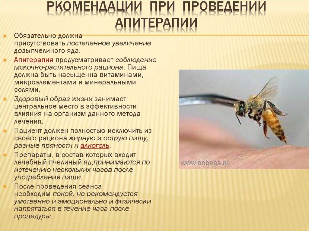 Лечение апитерапией: выбор точек ужаливания в зависимости от болезней - пчеловодство | описание, советы, отзывы, фото и видео