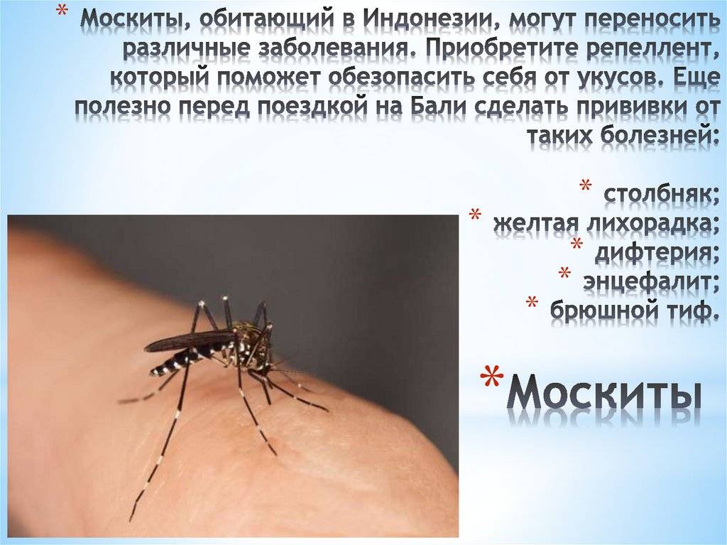 Чем опасны укусы комаров?