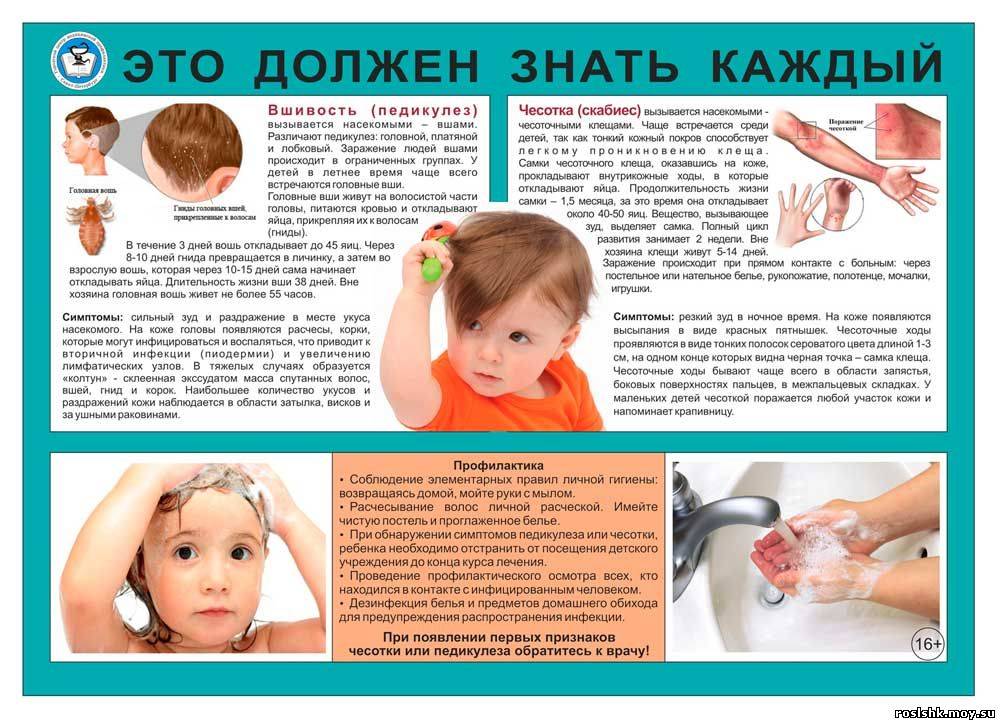 Что делать, если у кого-то в семье педикулез?