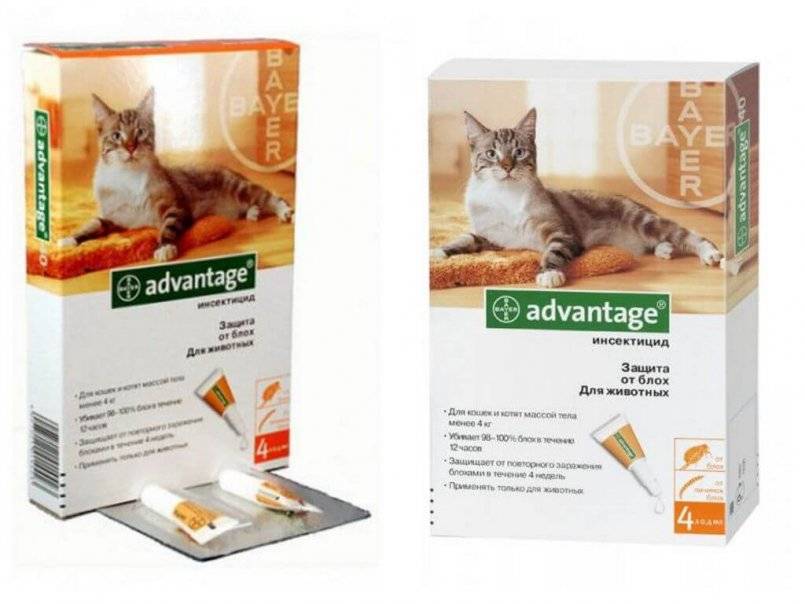 Капли адвантейдж для кошек, инструкция и противопоказания
