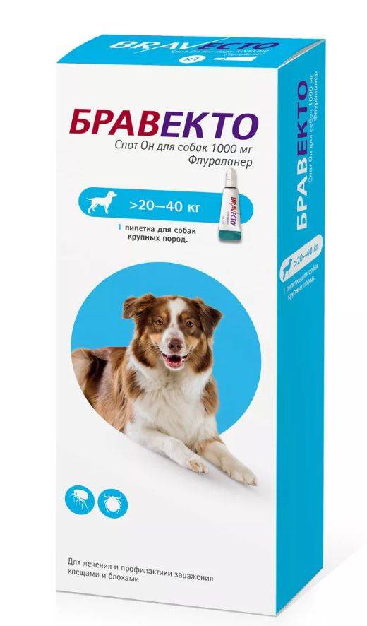 Таблетки бравекто (bravecto) от клещей и блох у собак: отзывы ветеринаров, инструкция по применению
