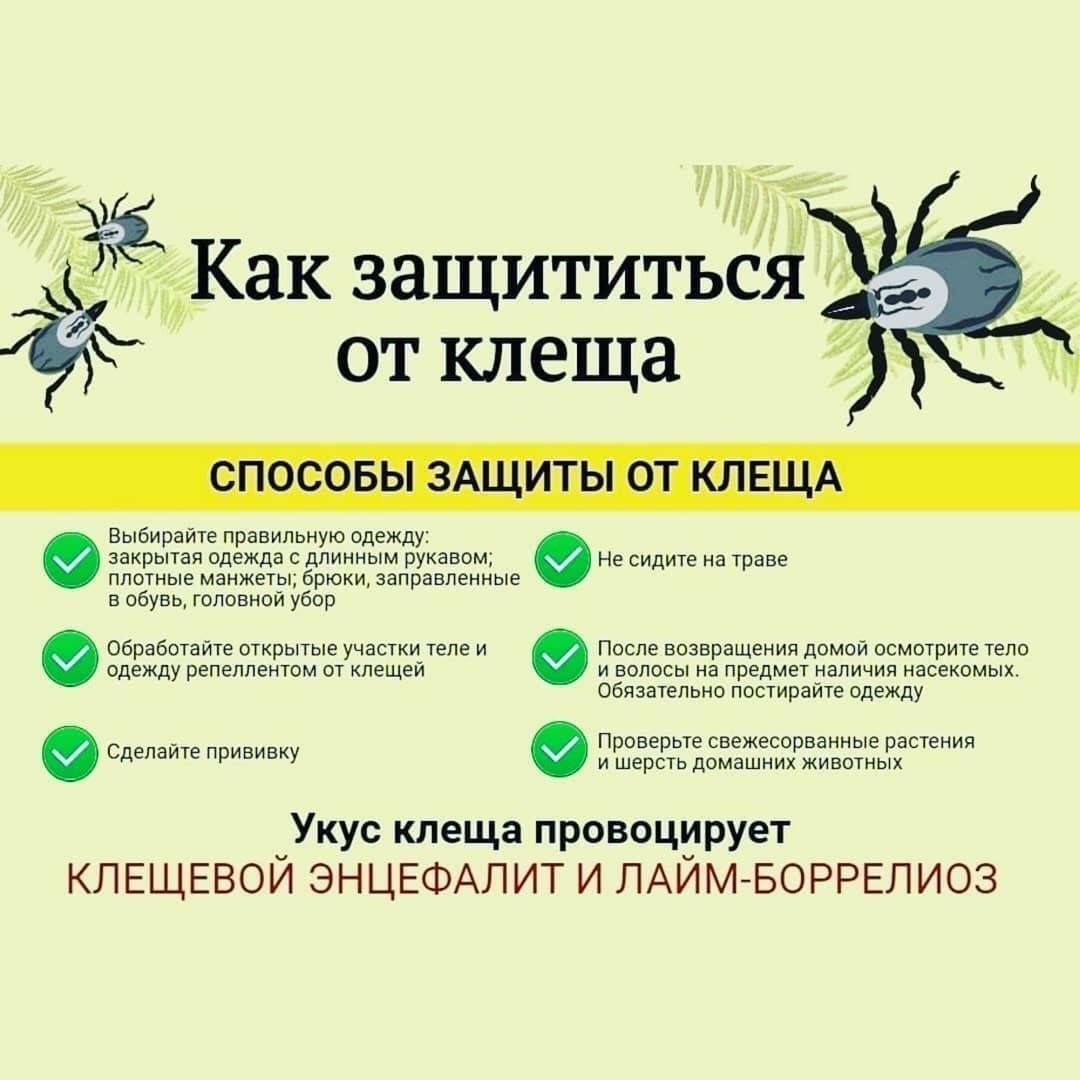 Клещ карта как пользоваться