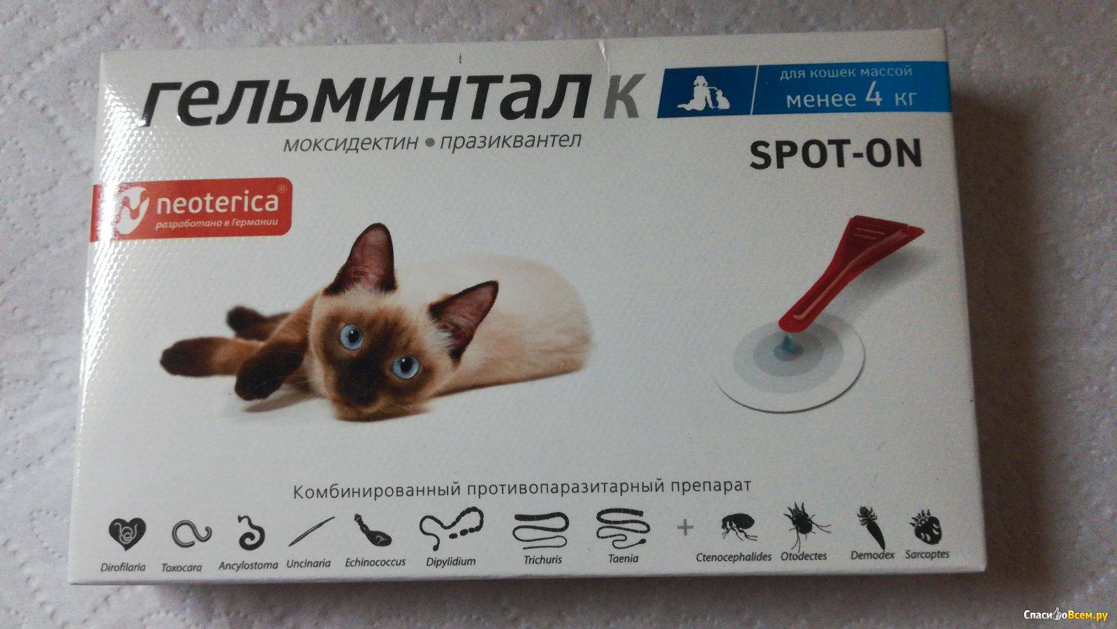 Гельминтал для кошек: показания к применению, инструкция