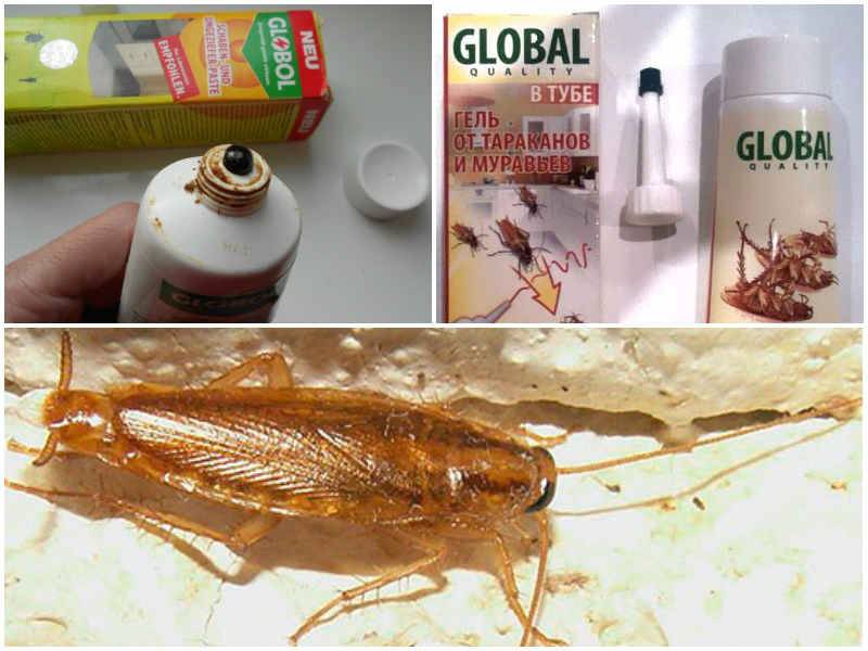 Глобал от тараканов инструкция по применению препарата и отзывы