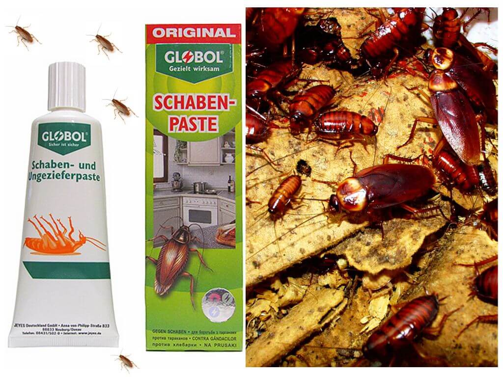Глобал от тараканов крем и аэрозоль как применять — отзывы