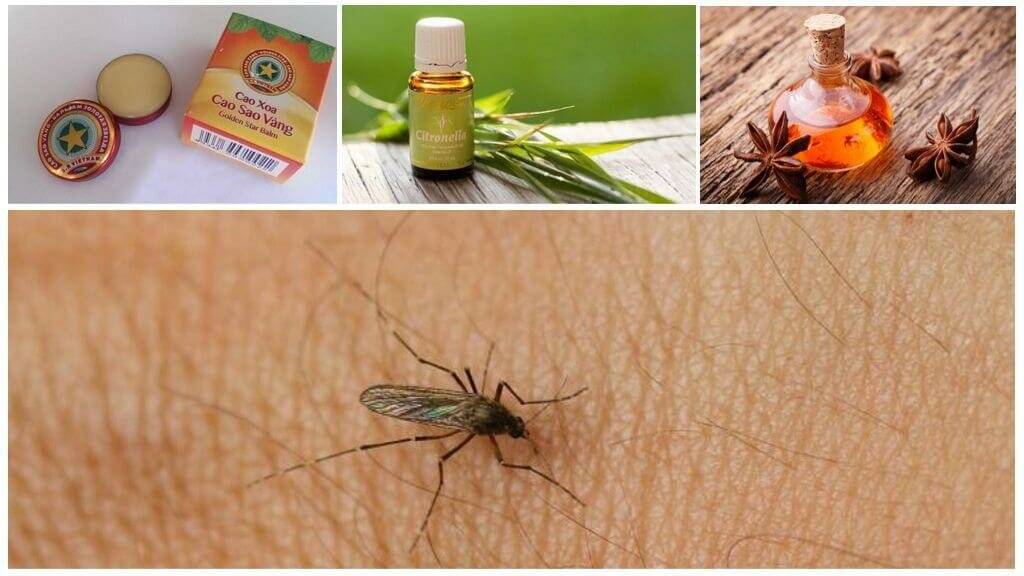 Средства от комаров: эффективные народные рецепты!