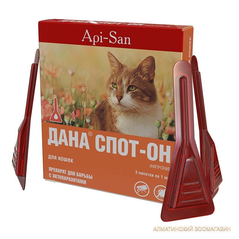 «дана спот-он» для кошек: инструкция по применению, химический состав, отзывы