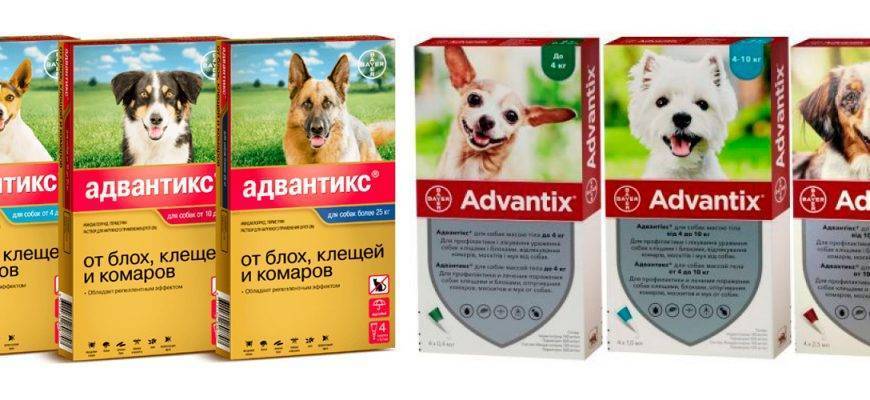 Адвантикс капли на холку для собак. дозы и способ применения