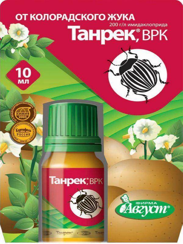 Самые эффективные средства от колорадского жука :: sotkiradosti.ru