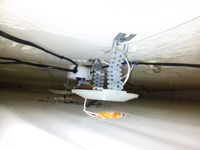 Как избавиться от мышей под натяжным потолком?