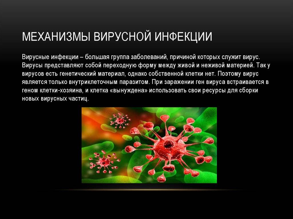 Инфекция, вызванная вирусом эпштейна-барр: мифы и реальность