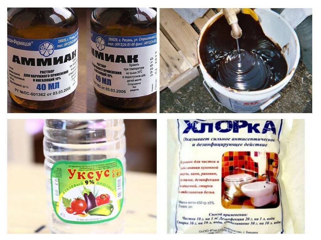Чего боятся мыши: какого запаха и звука (народные средства)