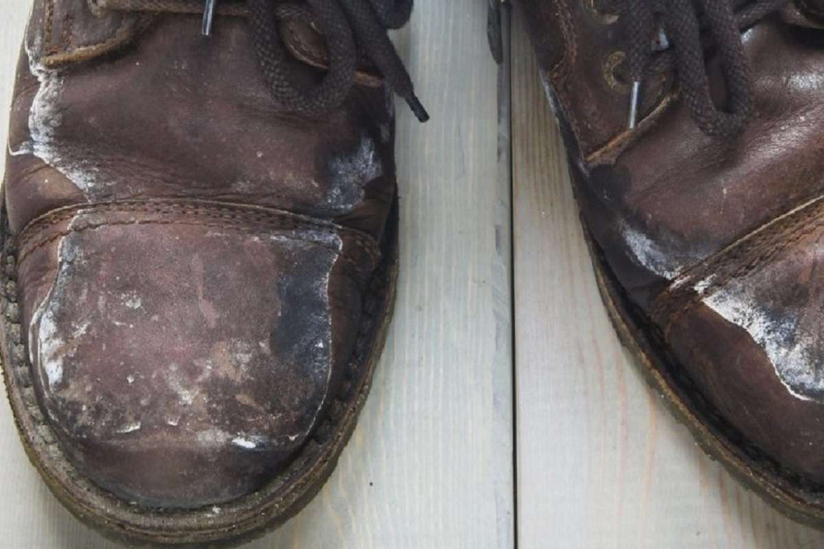 Плесень на обуви: как избавиться от запаха и вывести гриб?
