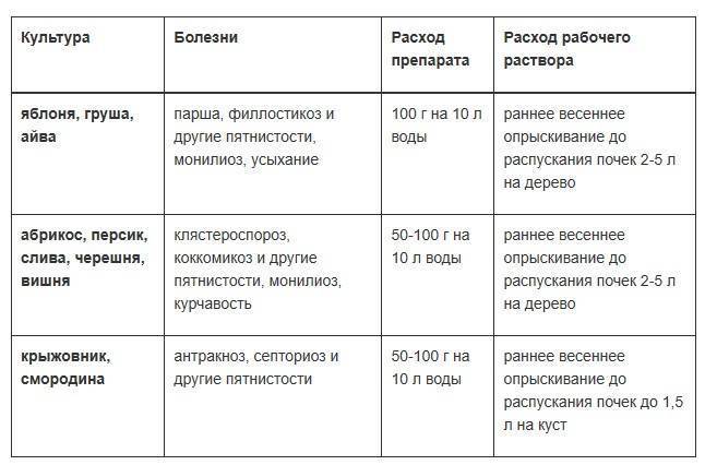 3 средства от плесени, которые помогут удалить грибок без лишних хлопот