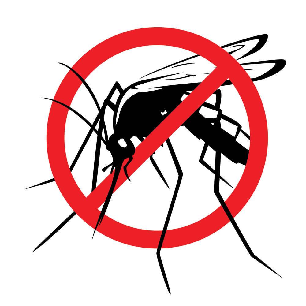 К чему снится очень много комаров. что означает образ комара во сне – толкования по сонникам и согласно народным поверьям