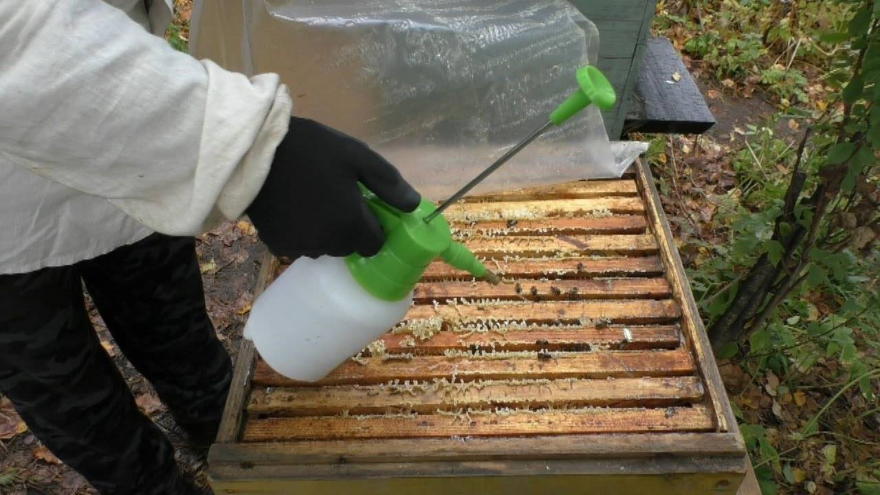 Обработка пчёл «бипином» (дым пушка): инструкция по применению