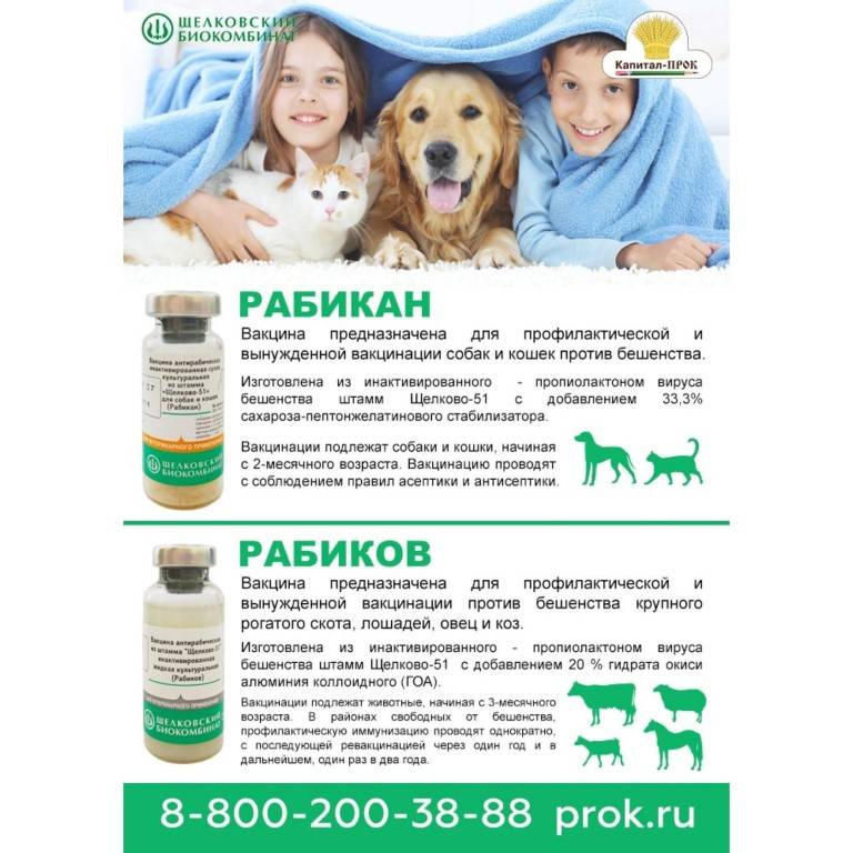 Прививка для собак от клеща