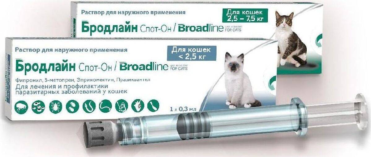 Уколы от блох для кошек: обзор препаратов, стоит ли делать инъекции от насекомых