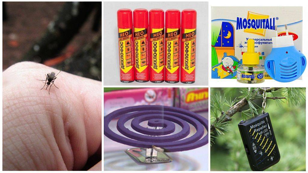 Как избавиться от комаров магазинными и народными средствами