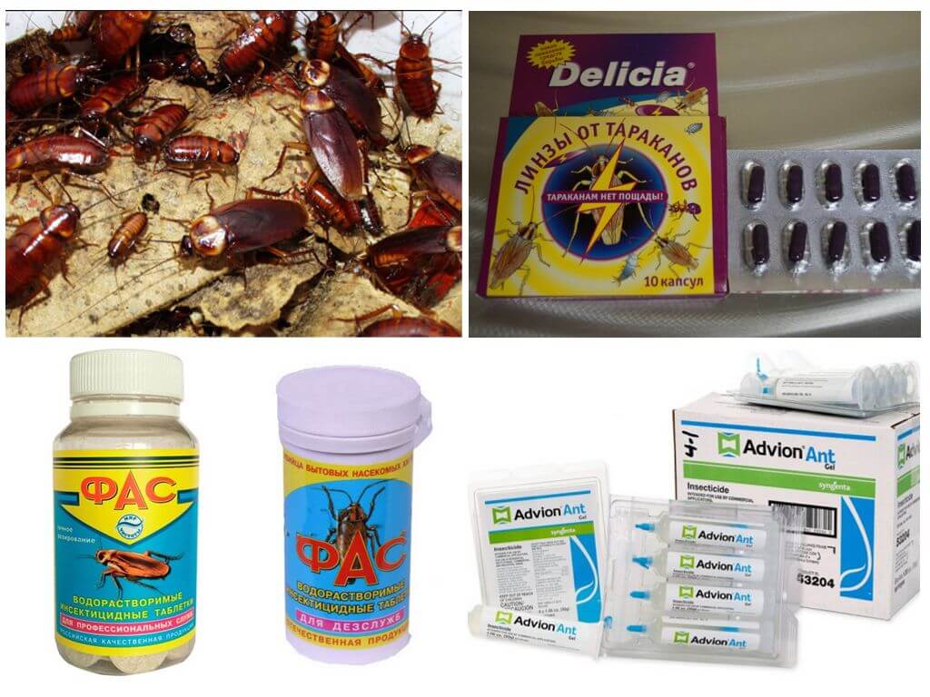 Какое средство от домашних тараканов самое лучшее, эффективное и безопасное