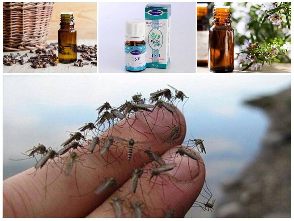 Чего опасаются комары