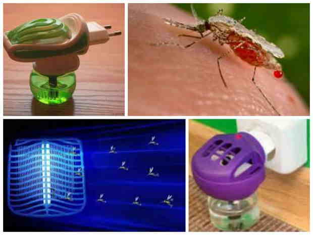 Как избавиться от комаров на дачном участке: репелленты и народные методы