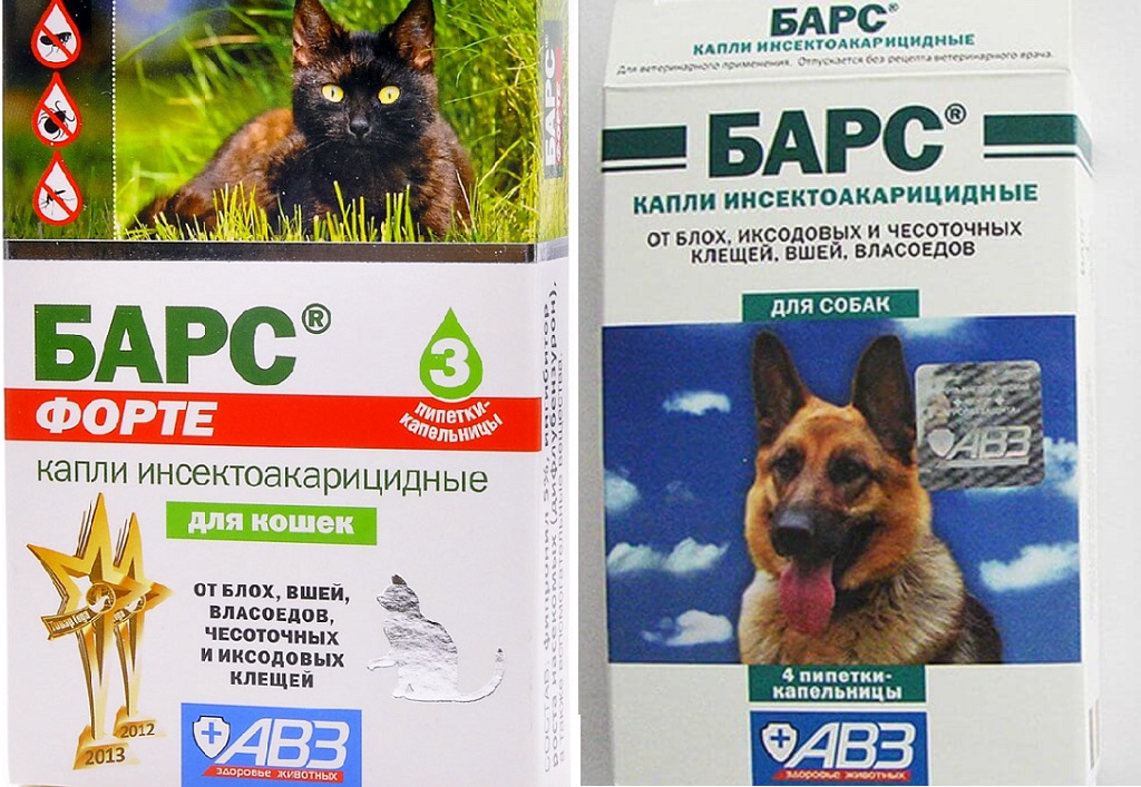 Средства “барс” от клещей для собак и кошек: цена препаратов, инструкции по применению и отзывы реальных владельцев