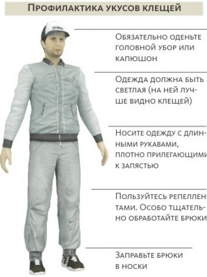 Какой выбрать защитный костюм от клещей? :: syl.ru