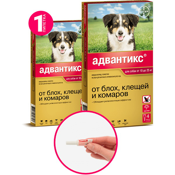 Aдвантикс для собак: инструкция по применению
