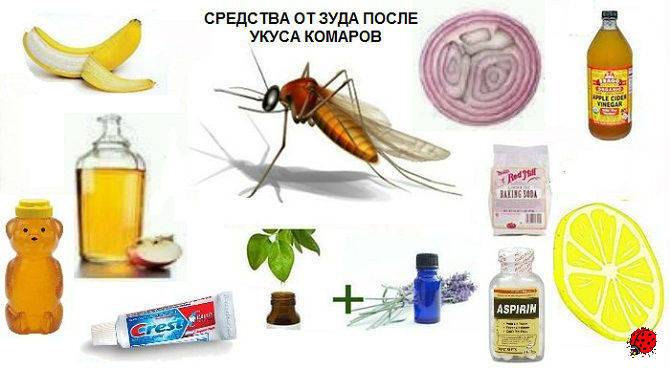 Как избавиться от комаров в домашних условиях без капли крови