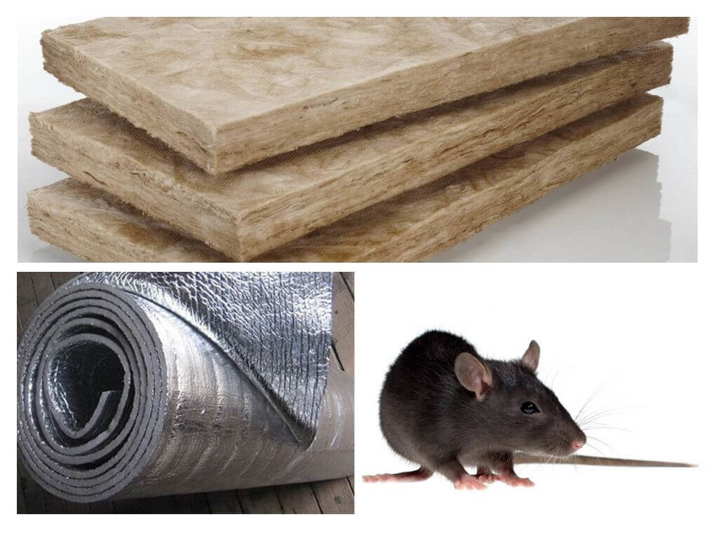 Какой утеплитель не грызут мыши и крысы: живут ли они в минвате и едят ли её