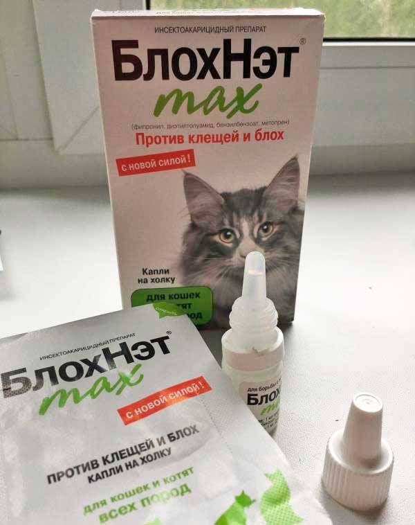 Все о каплях блохнэт для кошки: способ применения препарата и дозировки