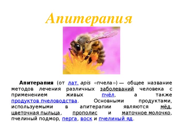 Лечение укусами пчел: показания к применению апитерапии