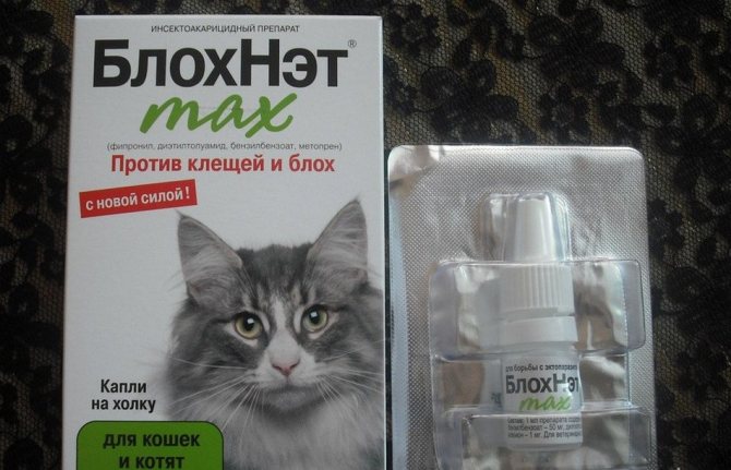Препараты обзор препарата для кошек блохнэт. блохнэт для собак