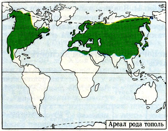 Карта где растет береза