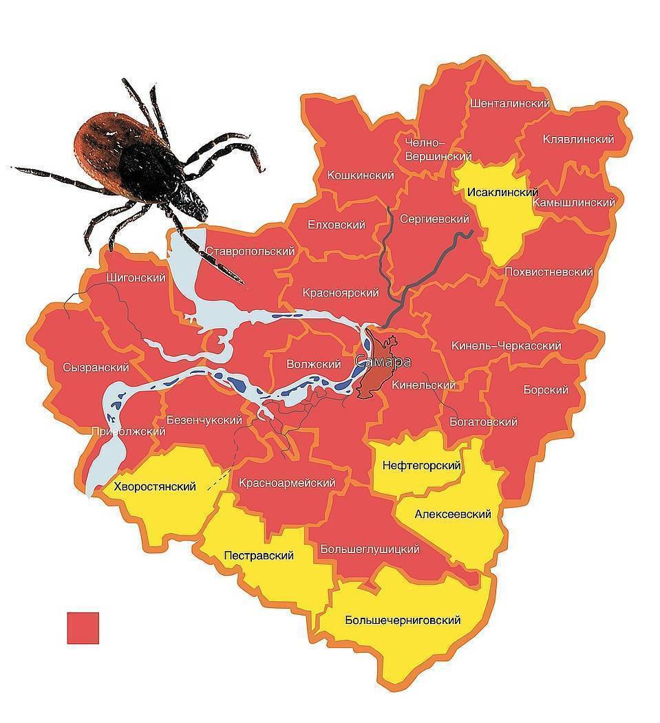 Карта клещей нижегородской области
