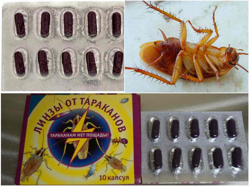 Таблетки фас от тараканов: описание, отзывы и инструкция по применению