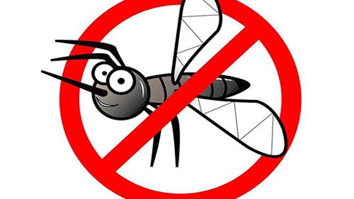Что означает образ комара во сне – толкования по сонникам и согласно народным поверьям. большие комары