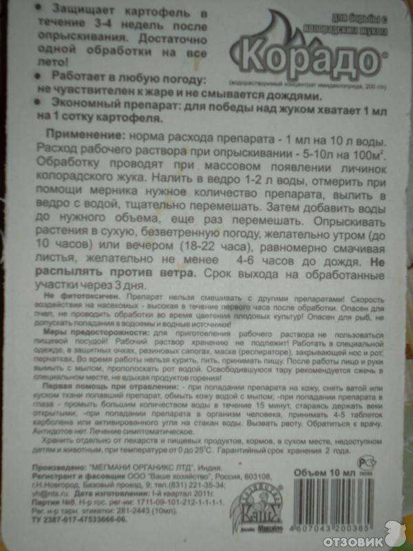 Все, что нужно знать о препарате корадо от колорадского жука русский фермер