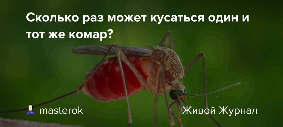 Почему комары кусают не всех людей