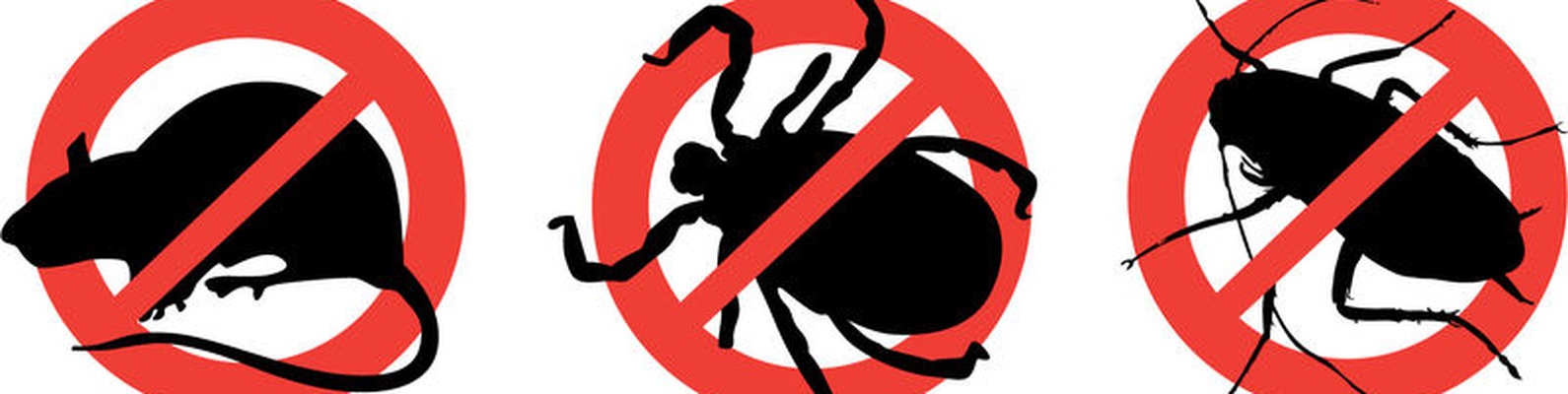 Насекомым - нет! | вся информация об уничтожении насекомых-вредителей
