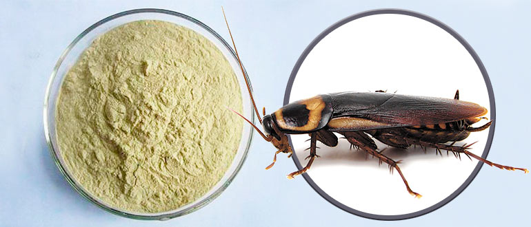 Шарики с борной кислотой от тараканов: рецепт и особенности применения